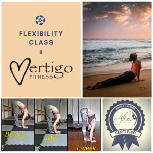 Vertigo fitness flexibility